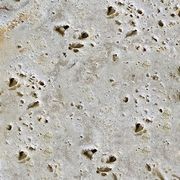 Travertine Pavellino gallery detail image