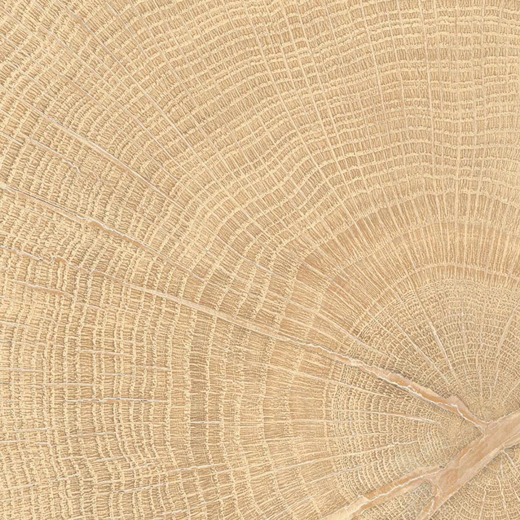 W-Circles Collection | Floor & Wall Tile gallery detail image