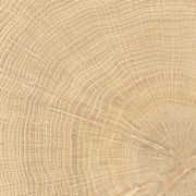 W-Circles Collection | Floor & Wall Tile gallery detail image