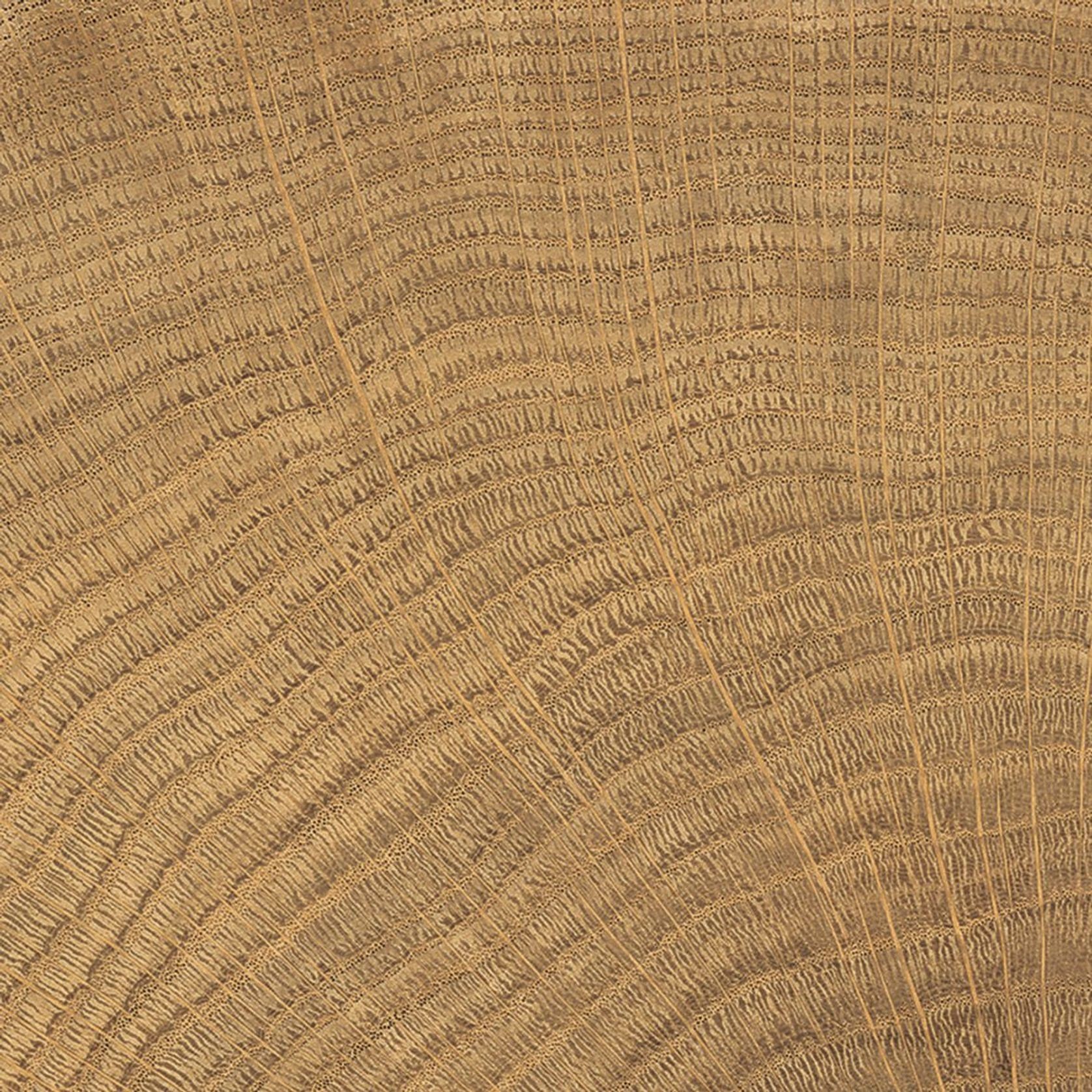 W-Circles Collection | Floor & Wall Tile gallery detail image