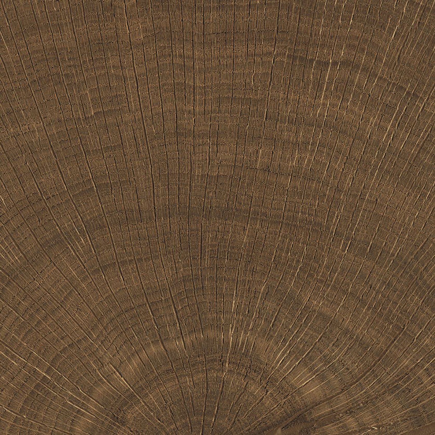 W-Circles Collection | Floor & Wall Tile gallery detail image