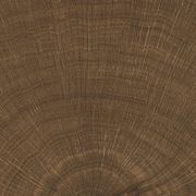 W-Circles Collection | Floor & Wall Tile gallery detail image