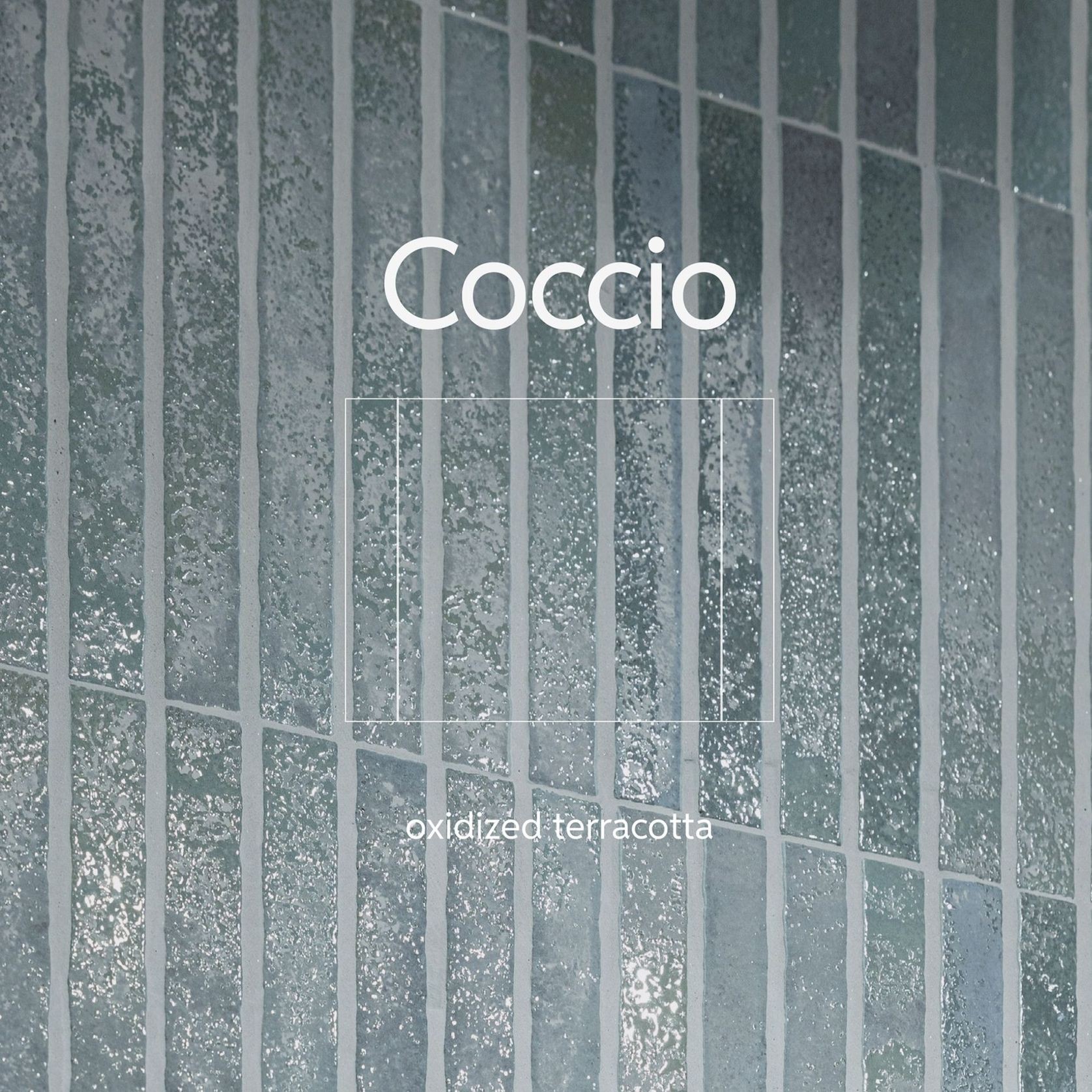 Coccio gallery detail image