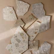 Shell gallery detail image