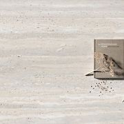 Dorica Full Body Porcelain Tile by Ariana gallery detail image