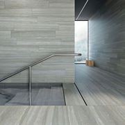 Dorica Full Body Porcelain Tile by Ariana gallery detail image