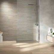 Evo Porcelain Tiles by Fanal gallery detail image