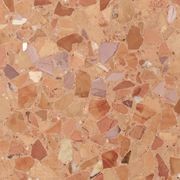 Not Terracotta | Terrazzo Tiles gallery detail image