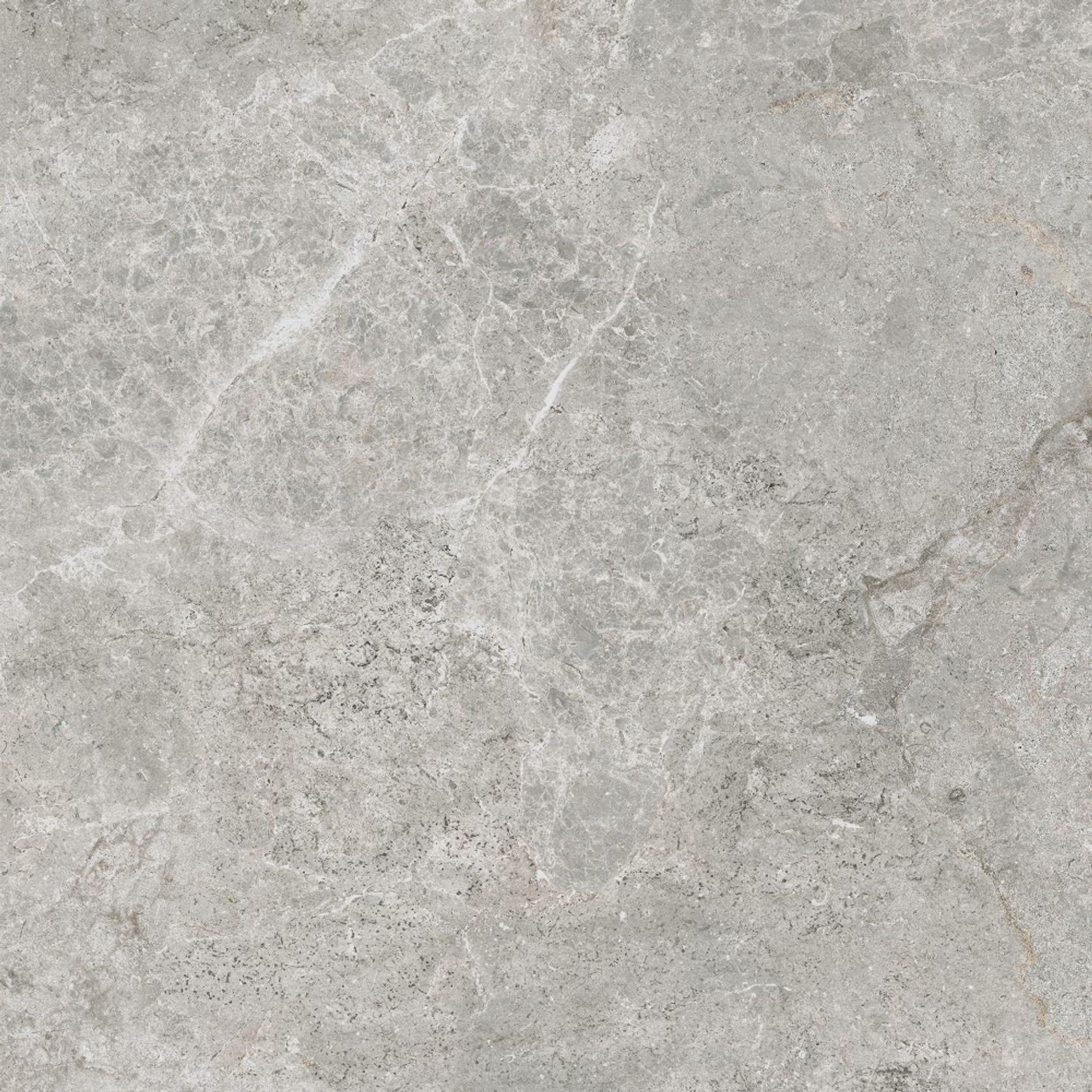 Arctic Tundra Grey Matt 60 gallery detail image