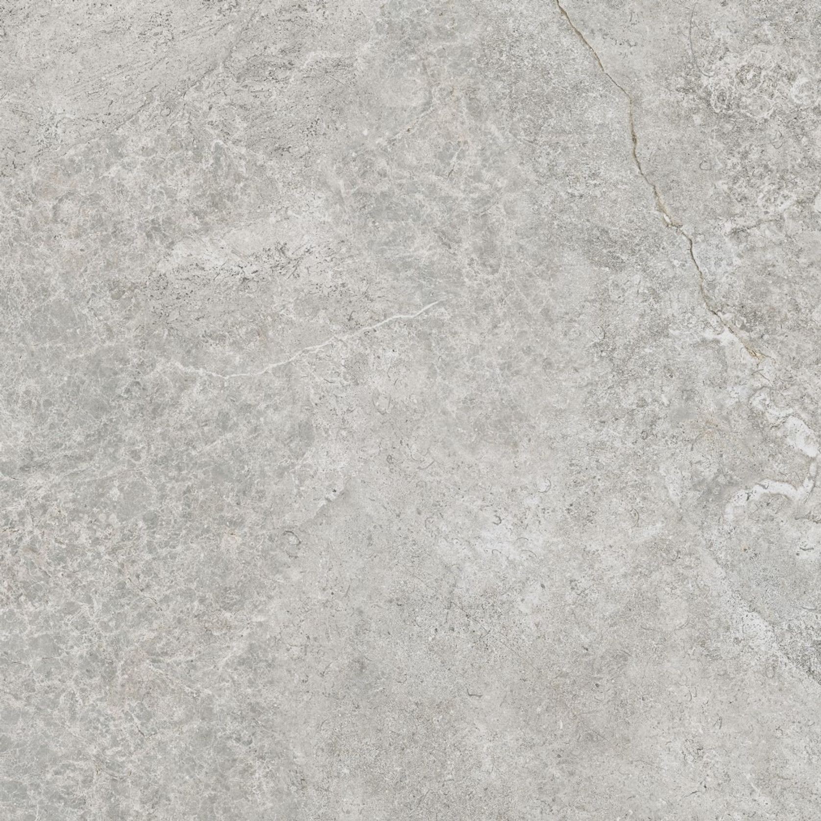 Arctic Tundra Grey Matt 60 gallery detail image