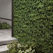 Limpha by Casalgrande Padana - Tiles gallery detail image