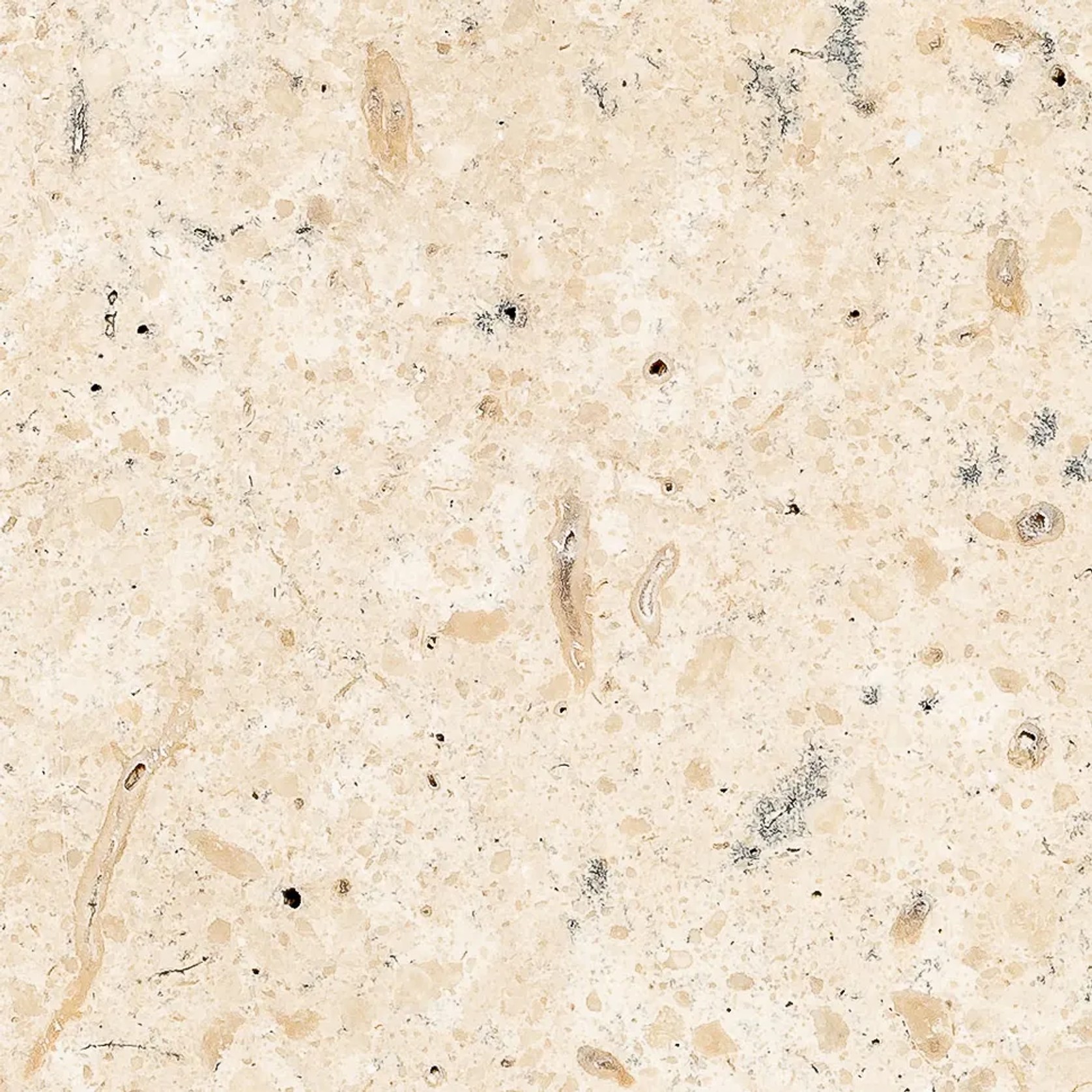 Panama Limestone | Honed Finish Tile gallery detail image
