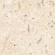Panama Limestone | Honed Finish Tile gallery detail image