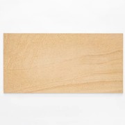 Phoenix Sandstone 300x600mm | Grip Tile gallery detail image