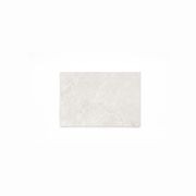 Primal Paver Tiles | White gallery detail image