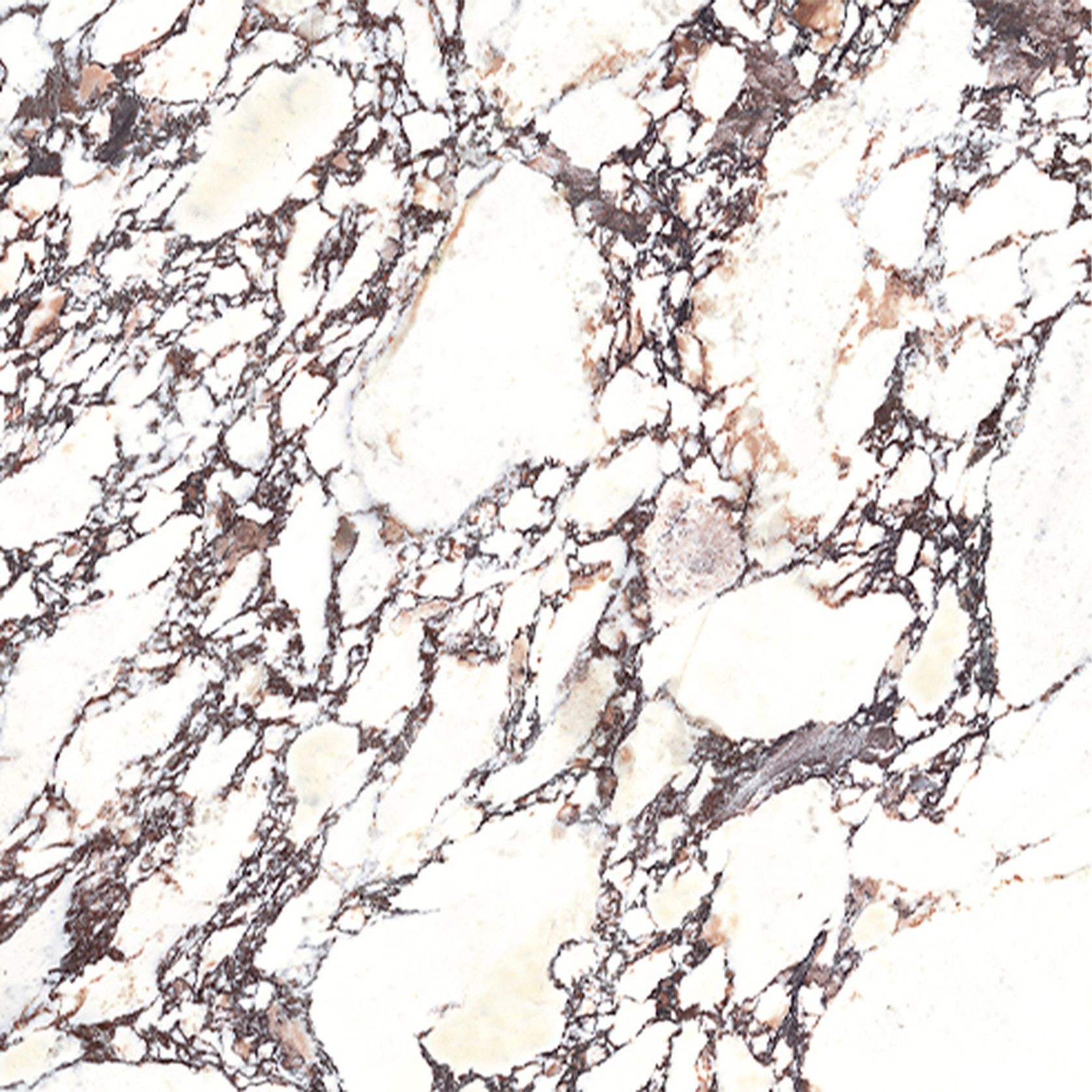 Eterno Marmo Viola | Perini Tiles gallery detail image