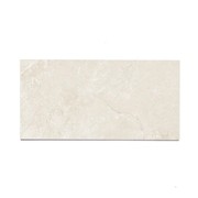 Primal Floor & Wall Tiles | 300x600x9.5 | Sand gallery detail image
