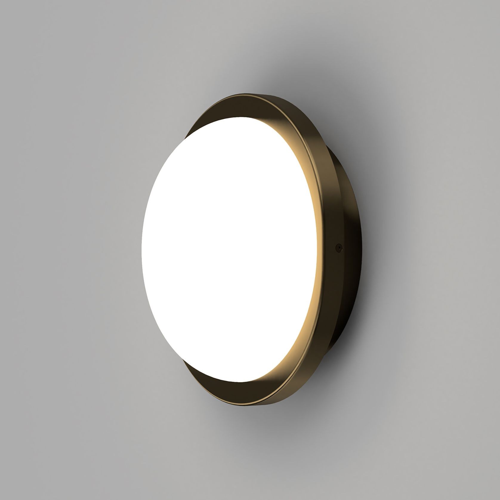 Bode Round Wall/Ceiling Light gallery detail image