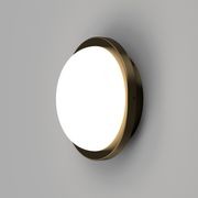 Bode Round Wall/Ceiling Light gallery detail image