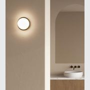 Bode Round Wall/Ceiling Light gallery detail image