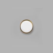 Bode Round Wall/Ceiling Light gallery detail image