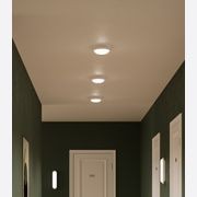 Bode Round Wall/Ceiling Light gallery detail image