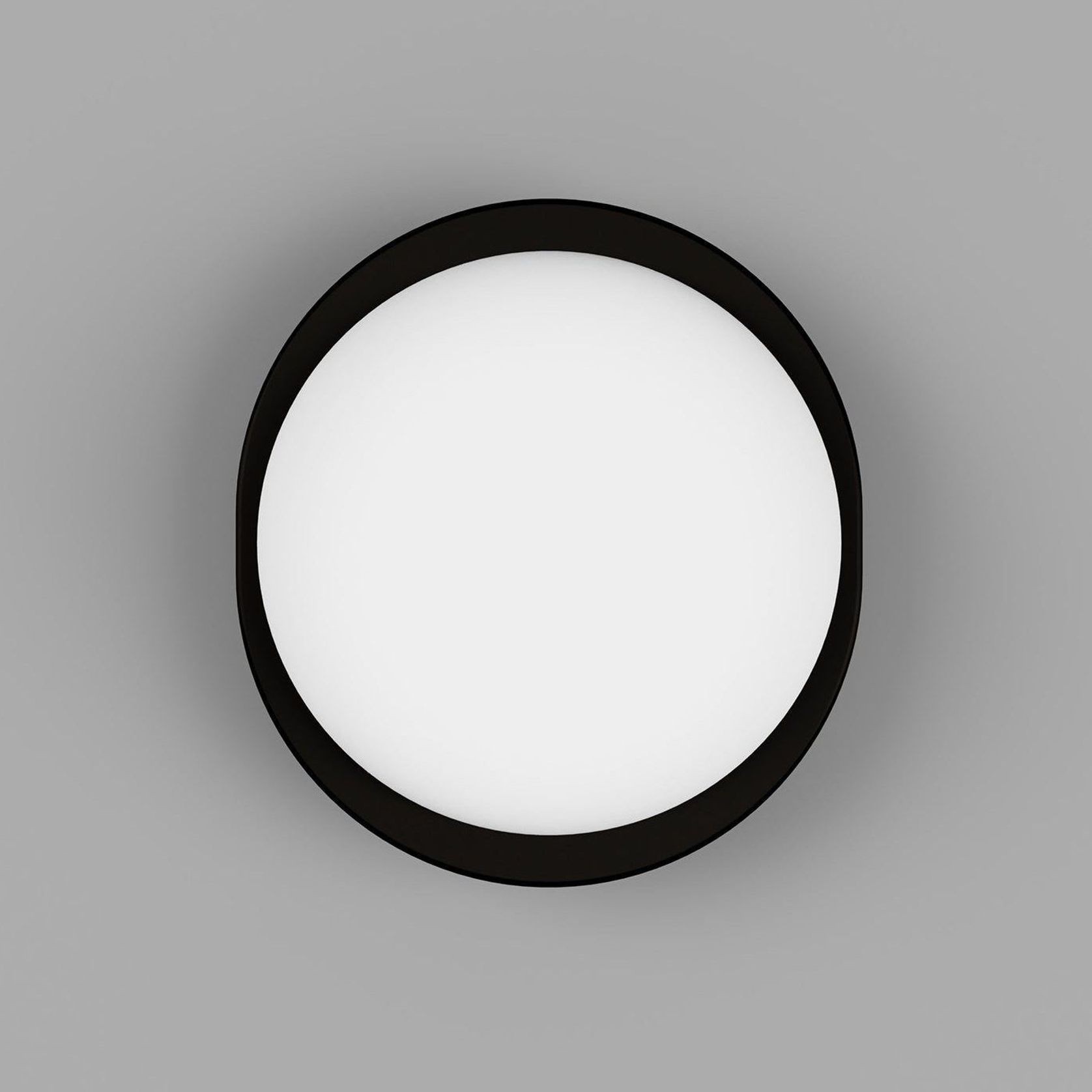 Bode Round Wall/Ceiling Light gallery detail image