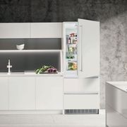ECBN 5066 PremiumPlus | Fully Integrated Bottom Mount Fridge gallery detail image