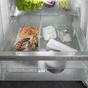 IRBh 5170 'Peak' BioFresh Pro | Fully Integrated Fridge gallery detail image