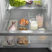 IRBh 5170 'Peak' BioFresh Pro | Fully Integrated Fridge gallery detail image