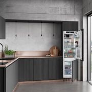 ICBNh 5173 Peak BioFresh with HydroBreeze | Integrated gallery detail image