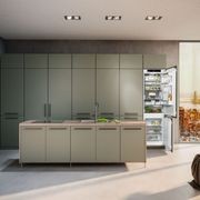 ICNh 5123 Plus EasyFresh | Fully Integrated Bottom Mount gallery detail image