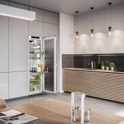 IRBPh 5170 'Peak' BioFresh | Fully Integrated Fridge gallery detail image