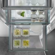 IRBPh 5170 'Peak' BioFresh | Fully Integrated Fridge gallery detail image