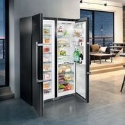 SBSbs 8673 Premium | BioFresh NoFrost | BlackSteel Side-by-Side Combination gallery detail image