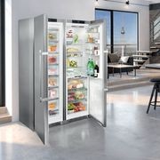 SBSes 8673 Premium BioFresh NoFrost | Side-by-Side Combination gallery detail image