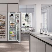 IRBh5170 Peak BioFresh Fully Integrated Refrigerator gallery detail image