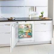 SUIG 1514 Comfort | Fully Integrated Underbench Freezer gallery detail image