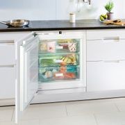 SUIG 1514 Comfort | Fully Integrated Underbench Freezer gallery detail image