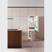 ICNh 5103 Pure EasyFresh | Fully Integrated Bottom Mount gallery detail image