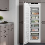 SIFNh5128 Plus Fully Integrated Freezer gallery detail image