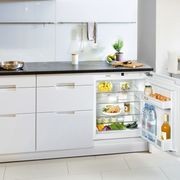 SUIK 1510 Comfort | Fully Integrated Underbench Fridge gallery detail image