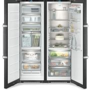 XRFbsh 5265 Prime BioFresh Pro | SxSide combination gallery detail image