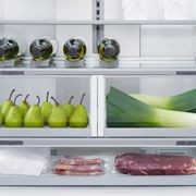 F&P Integrated French Door Refrigerator Freezer Ice & Water gallery detail image