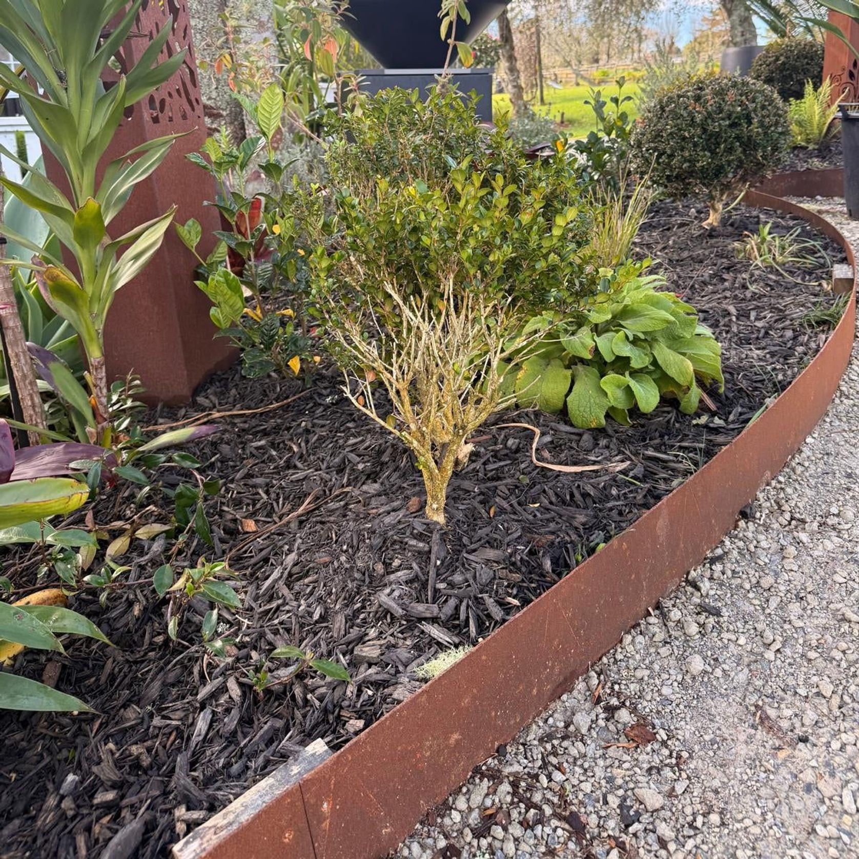 150 mm High. Corten Steel Garden Edging 3.00 mm Thick gallery detail image