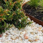 Flex Garden Edging and Retaining gallery detail image