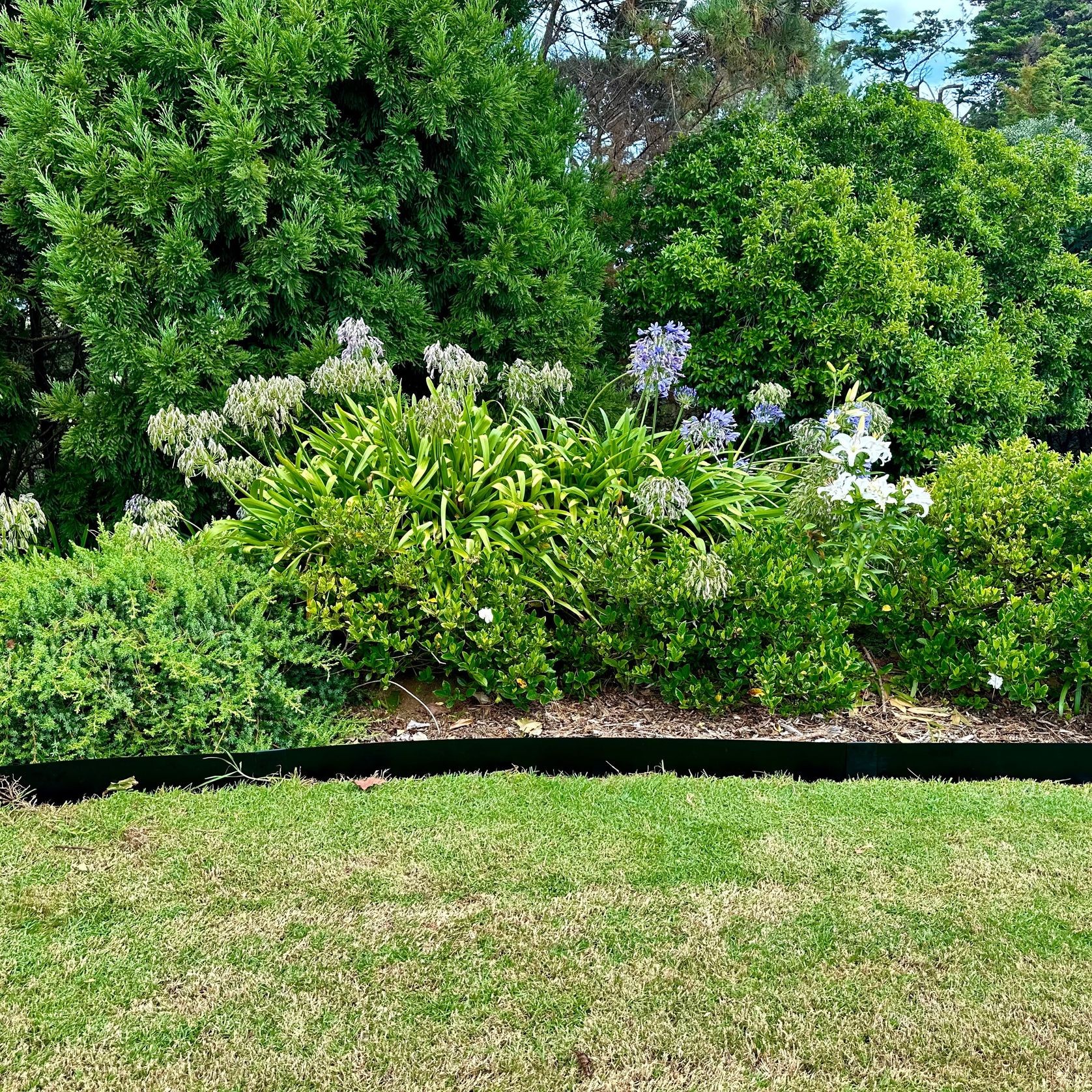 Black Garden Edging gallery detail image