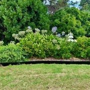 Black Garden Edging gallery detail image