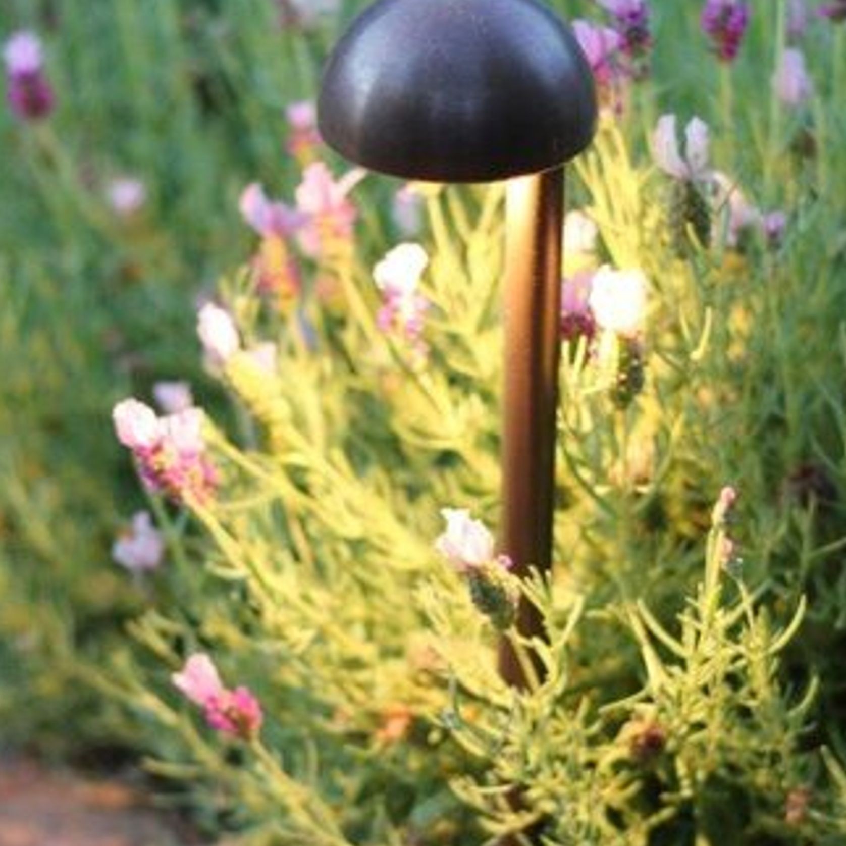 Bunnyip Garden Spike Light gallery detail image