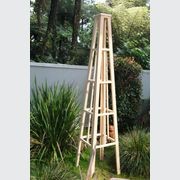 Garden Trellis/Obelisk gallery detail image